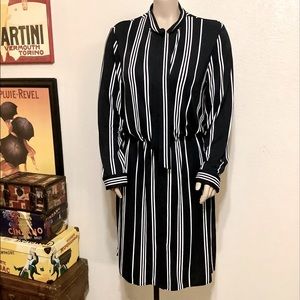 Ann Taylor Black and White Striped Long Sleeve Dress